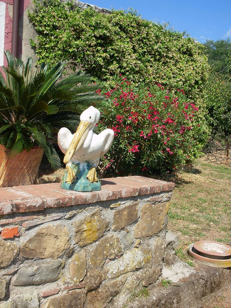 RIF.-5031-pelicano-aiola-colonica-0001.jpg