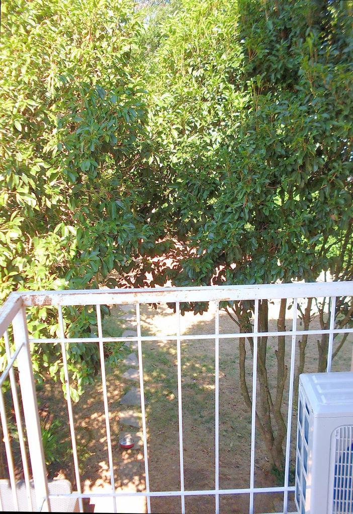 RIF.5110-vista-dal-balcone-camera-media0001.jpg